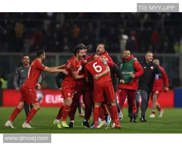 北马其顿将帅赛前谈战威尔士：咱们会享用本场竞赛